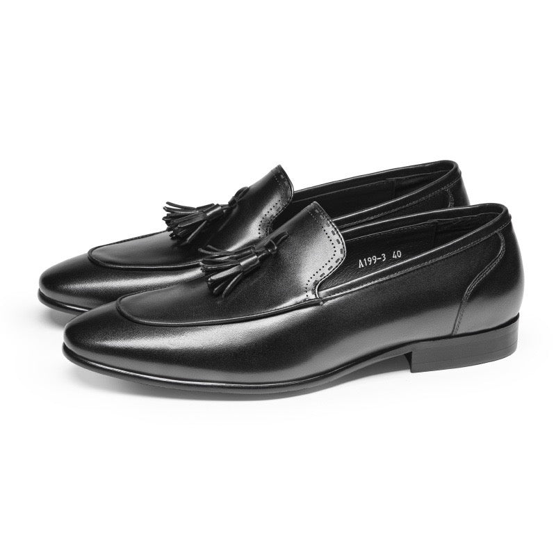 Tassel Loafers Slip-On Formal Dress Shoes Y101111